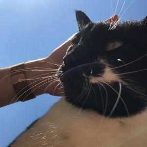 Meet your Posher, Jack